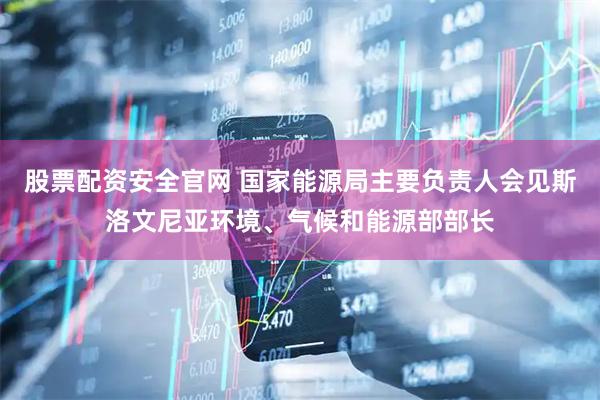 股票配资安全官网 国家能源局主要负责人会见斯洛文尼亚环境、气候和能源部部长