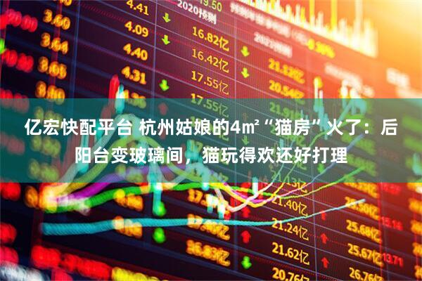 亿宏快配平台 杭州姑娘的4㎡“猫房”火了：后阳台变玻璃间，猫玩得欢还好打理