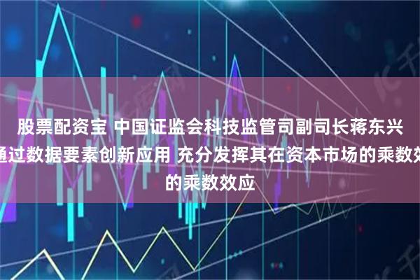 股票配资宝 中国证监会科技监管司副司长蒋东兴：通过数据要素创新应用 充分发挥其在资本市场的乘数效应