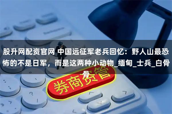 股升网配资官网 中国远征军老兵回忆：野人山最恐怖的不是日军，而是这两种小动物_缅甸_士兵_白骨